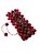 Bracelete Artesanal Entrelaçado com Sementes de Açaí Rajado Vermelho - Imagem 1