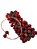 Bracelete Artesanal Entrelaçado com Sementes de Açaí Rajado Vermelho - Imagem 4