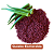 Sementes de Quiabo Esmeralda F1 Hibrido Topseed - 10 mil sementes - Imagem 2