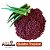 Sementes de quiabo Tropical Topseed Premium - 10 MIL SEMENTES - Imagem 3