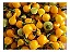 Sementes de Pimenta Bode Amarela - Topseed Garden Único - Imagem 3