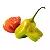 SEMENTES DE PIMENTA CAMBUCI (CHAPÉU DE BISPO) Topseed Garden Único - Imagem 3
