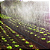 Mangueira Santeno 1 Irrigação 100m microperfurada - Imagem 7