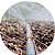 Mangueira Santeno 1 Irrigação 100m microperfurada - Imagem 8
