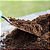 Adubo Fertilizante manutenção plantas NPK 20-05-20 - 2kg TOP - Imagem 3
