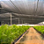 Tela Sombreamento 50% Sombrite 4,00 x 50 metros Horta Sombra - Imagem 8