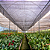 Tela Sombreamento 50% Sombrite 4,00 x 50 metros Horta Sombra - Imagem 4