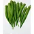 Semente Quiabo Santa Cruz 47 TOPSEED tratadas - 1kg - Imagem 2