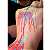 Vela Wax Play Palito Calor Medio 40g - Imagem 4
