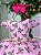 Vestido Marie Rosa Floral Mara - Imagem 2