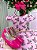 Vestido Marie Rosa Floral Mara - Imagem 3