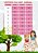 Vestido Juvenil - Midi Vila Lele Sabrina Pink e Off - Imagem 6