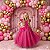 Fantasia/ Vestido Mini Miss Longo Princesa Pink - Imagem 2