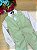 Conjunto Miss Cherry Social Leonardo Colete Verde Menta - Imagem 5