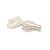 Isca Artificial Monster 3X Craw Dance Pacote com 2 Unidades Cor Manjuba - Imagem 1