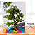 Caderno A5 Iroko ou Kitembo - Imagem 3
