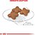 Ração Mini Adulto Cães, 7,5 KG. ROYAL CANIN. Cod. 10100108 - Imagem 2