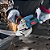 Disco Flap Std para metal BOSCH 115mm Gr40. Cod. 2608619288 - Imagem 4