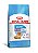 Ração Mini Indoor Puppy Jr Cães, 2,5 KG. ROYAL CANIN. Cod. 10100619 - Imagem 1