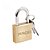 Cadeado 40mm. PADO. Cod. 00102000 - Imagem 1