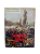 Novo Manual Nova Cultural - História Geral - Imagem 1