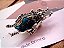 Broche Besouro Escudo - Imagem 4