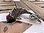 Broche Carpa Strass - Imagem 5