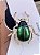 Broche Besourinho - Imagem 5