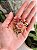 Broche Ramalhete Rosa Antigo - Imagem 4