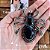 Broche Aranha Glam Preta - Imagem 5