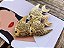 Broche Cardume Dourado - Imagem 3