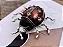 Broche Joaninha Vermelha - Imagem 2