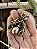 Broche Inseto Vintage dourado - Imagem 3