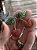 Broche Cereja - Imagem 5