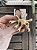 Broche Splash - Imagem 5