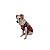 Molde de Roupa kit Modelagem de Cachorro Médio 09-10-11-12 - Imagem 1