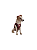 Molde de Roupa kit Modelagem de Cachorro Médio 09-10-11-12 - Imagem 2