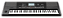 TECLADO ARRANJADOR KORG PA300 - Imagem 3