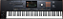 TECLADO ARRANJADOR KORG PA5X - Imagem 1