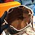 Bolsa Louis Vuitton Noé BB - Imagem 5