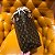 Bolsa Louis Vuitton Neverfull MM - Imagem 2