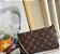 Bolsa Louis Vuitton - Imagem 2