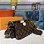 Bolsa Louis Vuitton Multi Pochette Accessoires - Imagem 2