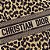Bolsa Dior - Imagem 5