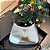 Bolsa Prada Cleo - Imagem 6