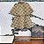 Conjunto Infantil Feminino Gucci - Imagem 2