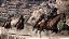 Red Dead Redemption Game of 360/xbox one semi novo - Imagem 4