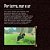 The Legend Of Zelda Breath of The Wild Nintendo Switch semi novo - Imagem 3