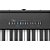 Roland FP-30X - Piano Digital Compacto com 88 Teclas e Bluetooth - Imagem 6