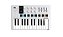 Teclado Controlador Midi USB 25 Teclas Arturia MiniLab MK3 Branco - Imagem 1